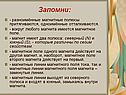 Разноимённые магнитные полюсы
