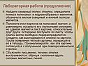 Северный полюс