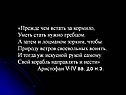 «Прежде чем встать за кормило, Уметь стать нужно гребцом
