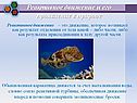 Реактивное движение и его проявление в природе