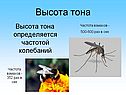 Высота тона