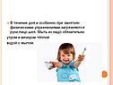 Лицо