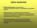 Цели проекта