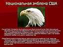 Национальная эмблема США
