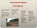 Биосфера