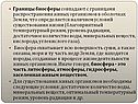 Границы биосферы совпадают с границами распространения