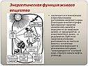 Энергетическая функция живого вещества