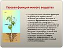 Газовая функция живого вещества