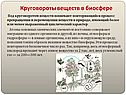 Круговороты веществ в биосфере