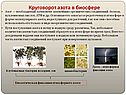 Круговорот азота в биосфере