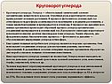 Круговорот углерода
