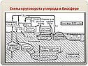 Схема круговорота углерода в биосфере