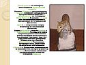 IX—XI века — от халифата обособляется Дербентский эмират