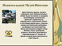Национальный Музей Ниигаты