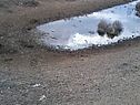 Экологические проблемы Астраханской области