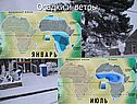 Осадки и ветры