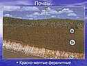 Почвы