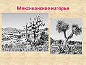 Мексиканское нагорье