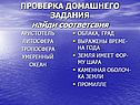ПРОВЕРКА ДОМАШНЕГО ЗАДАНИЯ найди соответсвия
