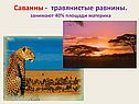 Саванны - травянистые равнины