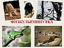 Физкультминутка