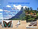 Органический мир