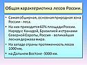 Общая характеристика лесов России