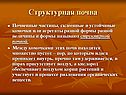 Структурная почва