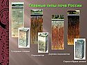 Тундровая глеевая