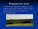 В окружении лесов
