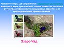 Озеро Чад