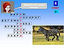 Африканская дикая лошадь