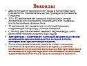 Бескрайние хвойные леса