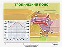 Тропический пояс