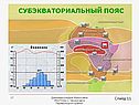 Субэкваториальный пояс
