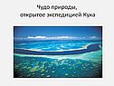 Чудо природы, открытое экспедицией Кука