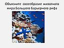 Своеобразие животного мира