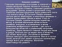 Сельское хозяйство