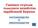 Отрасли сельского хозяйства