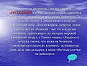 Муссонный климат