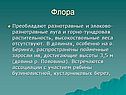 Флора