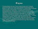 Фауна