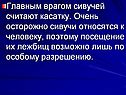 Сивучи