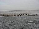 Командорские острова