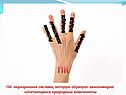 Компоненты географической оболочки
