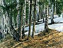 Континент Евразия