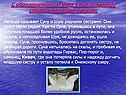 С образованием на реке Суне водопадов связана красивая легенда