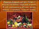 Второй Летний сад при Петре I получил название «царский огород»