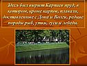 Карпиев пруд