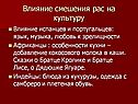 Влияние смешения рас на культуру